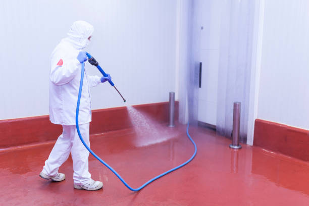 Best Rust and Stain Removal in Assumption, IL