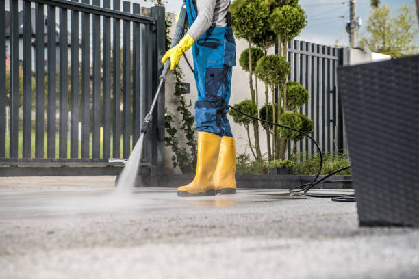 Best Graffiti Removal Services in Assumption, IL